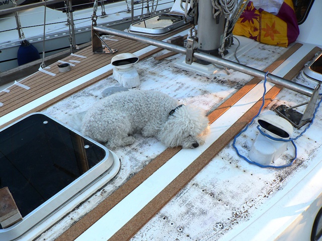 Makes for a Good Chin Rest